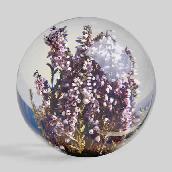 Botanical Paperweight - Heather