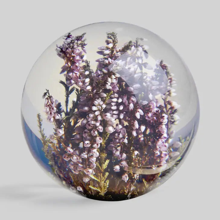 Botanical Paperweight - Heather