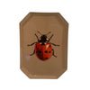 Lacquer Iron Tray - Ladybug