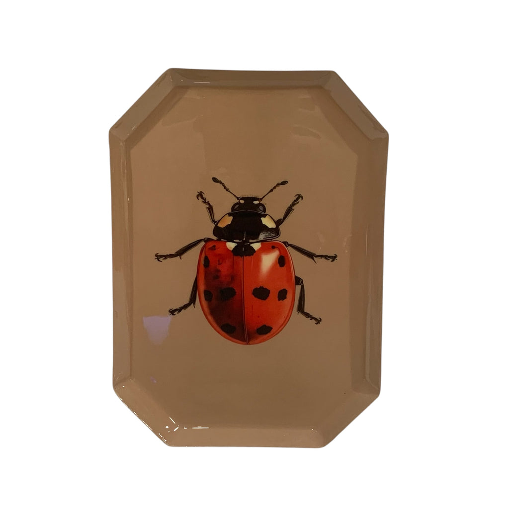 Lacquer Iron Tray - Ladybug