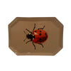 Lacquer Iron Tray - Ladybug