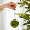 Ryka Glass Ornament