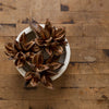 Object - Dried Star Pods