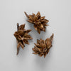 Object - Dried Star Pods