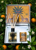 Casa Gift Set - Zagara