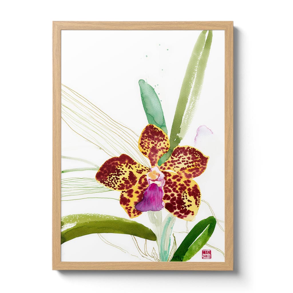 Orchid - n. 11 Vanda Kultana