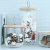 ivalo glass containers at details by mr k