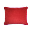 Red & Fuscia Velvet Cushion | LO Decor