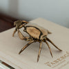 colette brass crab at details by mr k