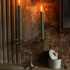 Palash Palm Candle Holder